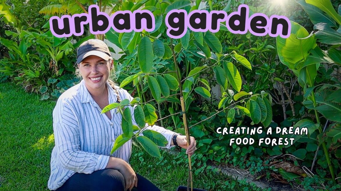 Planting in My Urban Food Forest! 🌳 Why Late Summer Is the Best Time for Subtropical Fruit Trees!