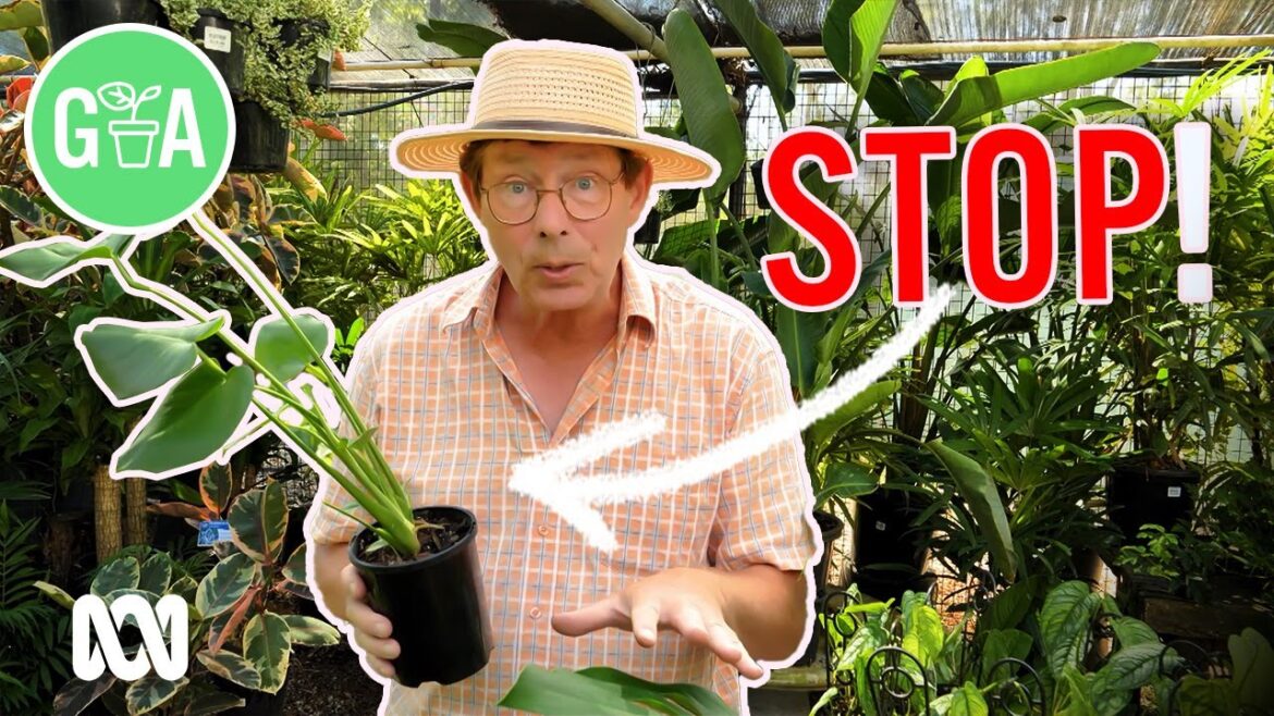 Don't Plant These In Your Garden! | Gardening 101 | Gardening Australia