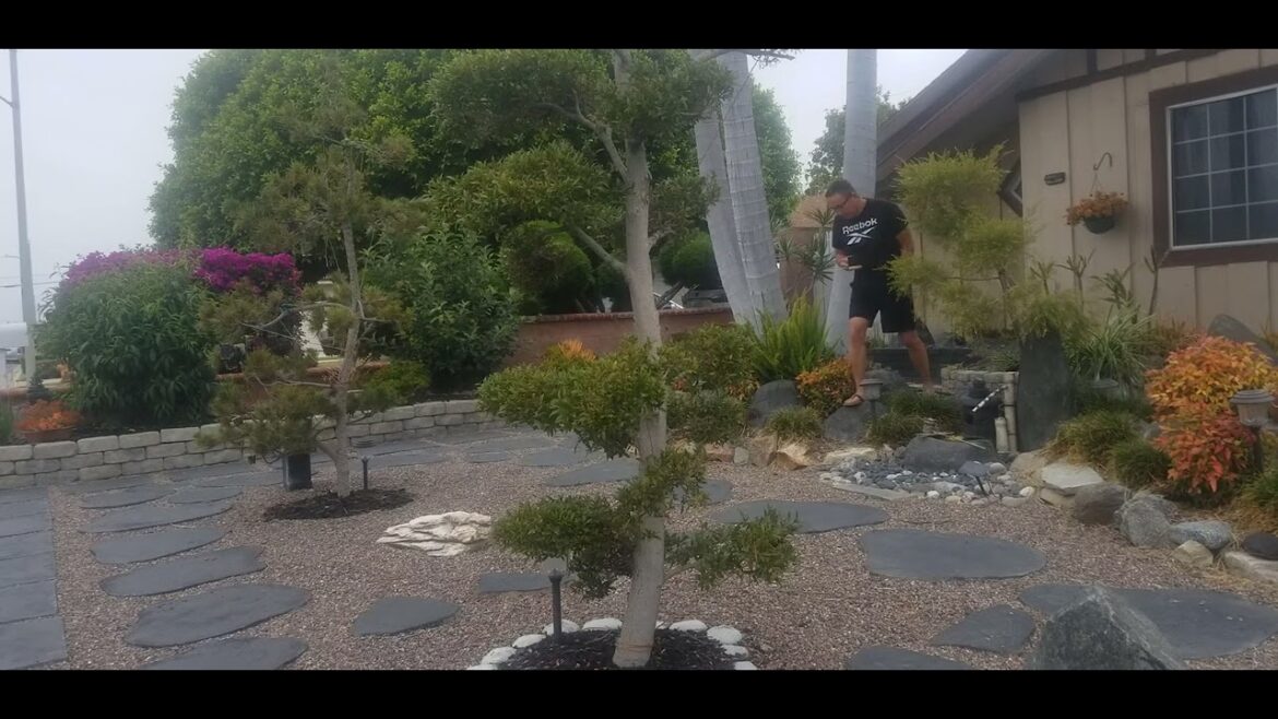 Japanese Garden - Simple wonder daily life 360