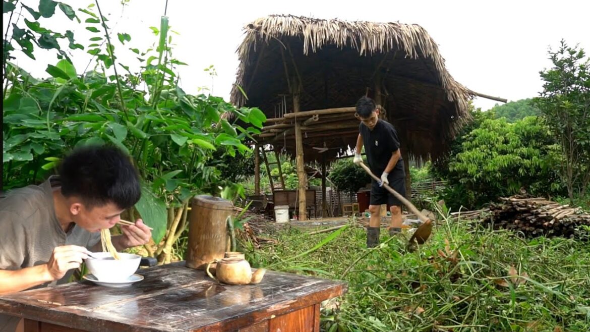 Simple farmer's breakfast và plans for a raised garden cheap and easy