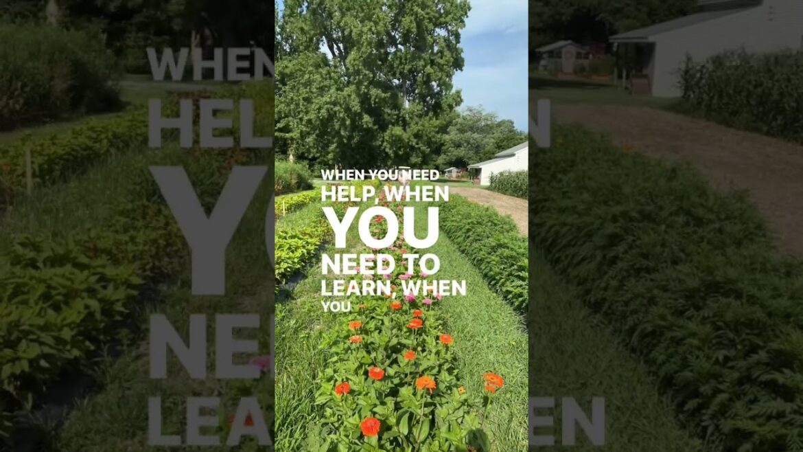 Enrollment closes at 12midnight tonight Enrollment closes at 12midnight tonight