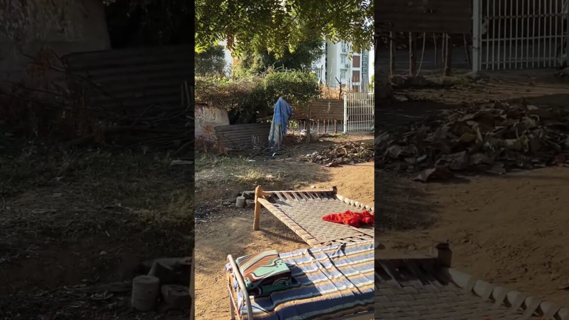 Organic Kheti Wadi Ki Maza Dekho!