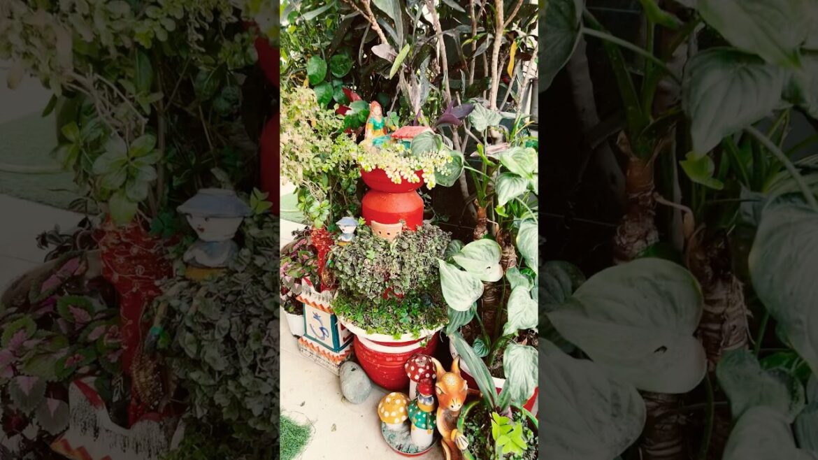 Diy garden decoration ideas #garden #diy #gardenideas #plants #youtubeshorts #shorts #gardening
