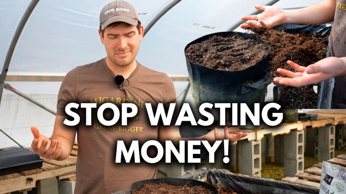 Never Throw Out Old Potting Soil Again - Refresh and Reuse it to Save TONS of Money!