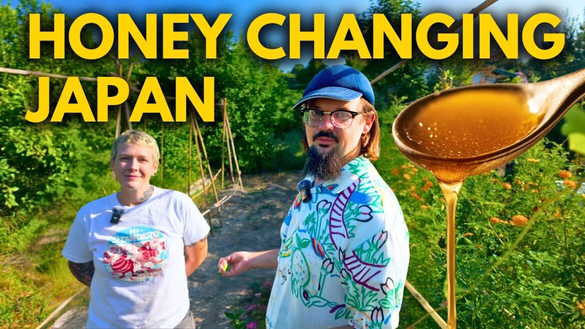 American Couple’s Island Garden Produces Rare Mountain Honey American Couple's Island Garden Produces Rare Mountain Honey