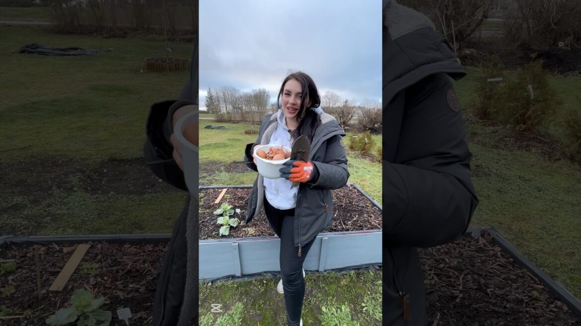 Unlocking the SECRET for good soil! #garden #gardening  #tips #home #growyourownfood #gardeningtips