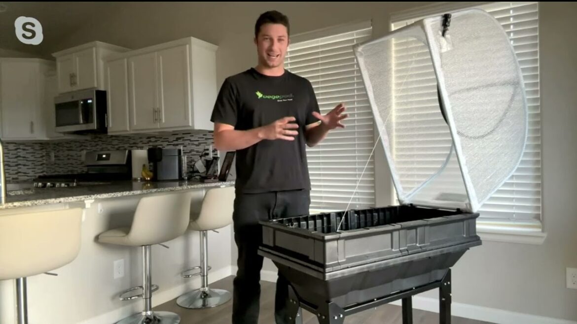 Vegepod Self-Watering Small Container Garden with Stand & Cover on QVC