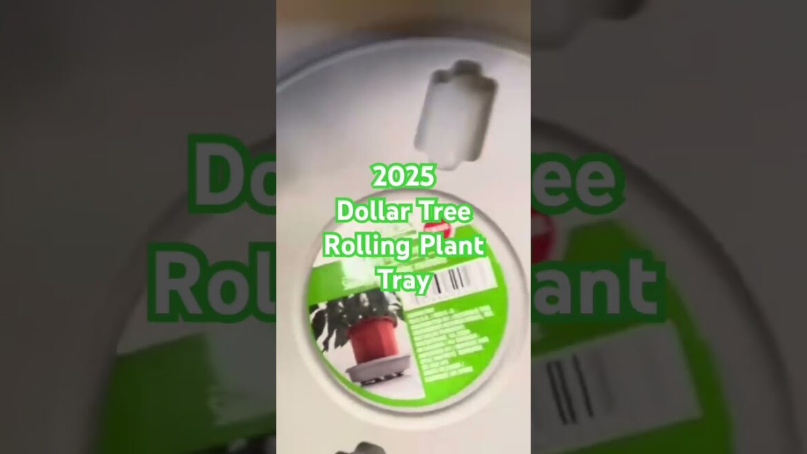 2025 Dollar Tree Gardening Supplies | Dollar Tree Rolling Plant Tray #dollartree #garden shopping