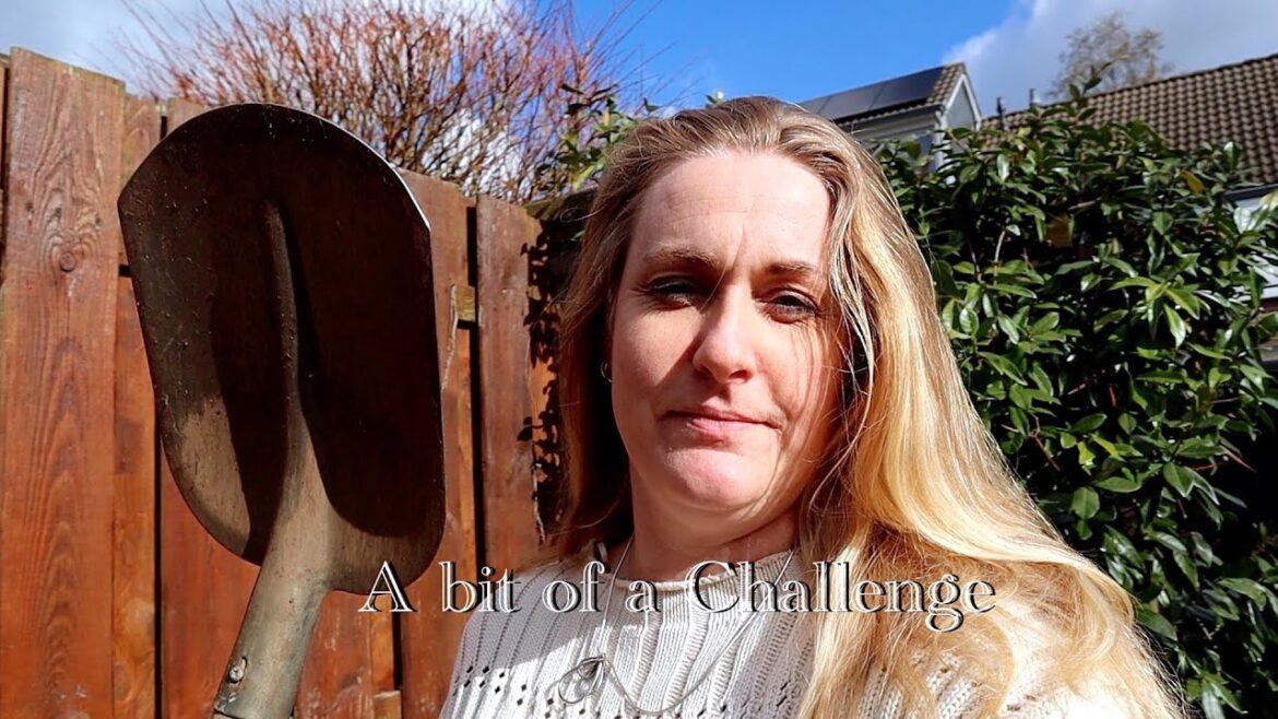 Small Garden Ideas, Planning and Layout Small Garden Ideas, Planning and Layout