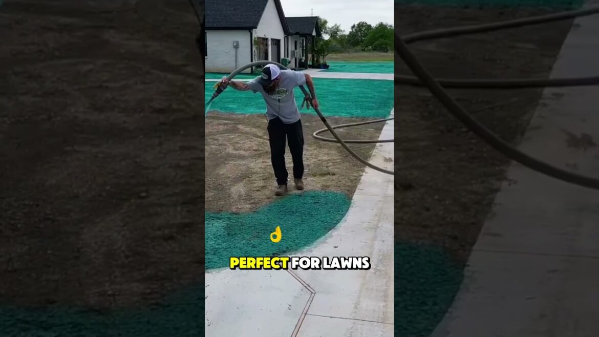 This Technology Turns Bare Land Green! What Is Hydroseeding? 🌱✨