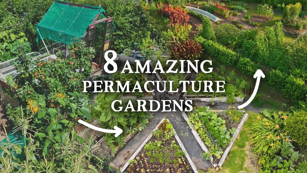 8 Amazing Permaculture Gardens | Ideas & Inspiration for Gardeners