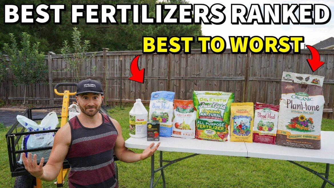 The BEST Fertilizers For Vegetables Ranked BEST To WORST! The BEST Fertilizers For Vegetables Ranked BEST To WORST!