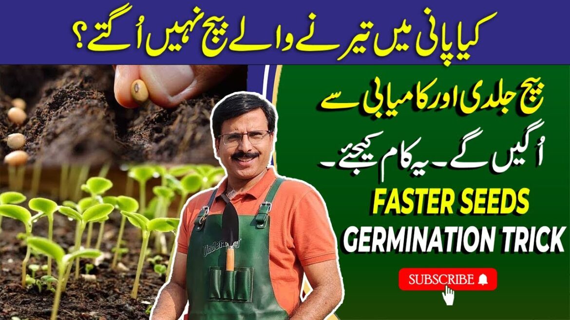 Faster Seeds Germination Hack Water Soaking Method | Gardening With Javed Iqbal