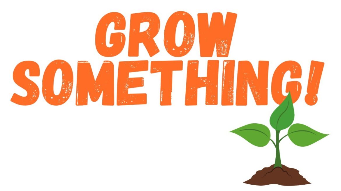 Grow Your Own Organic Edible Garden at Home