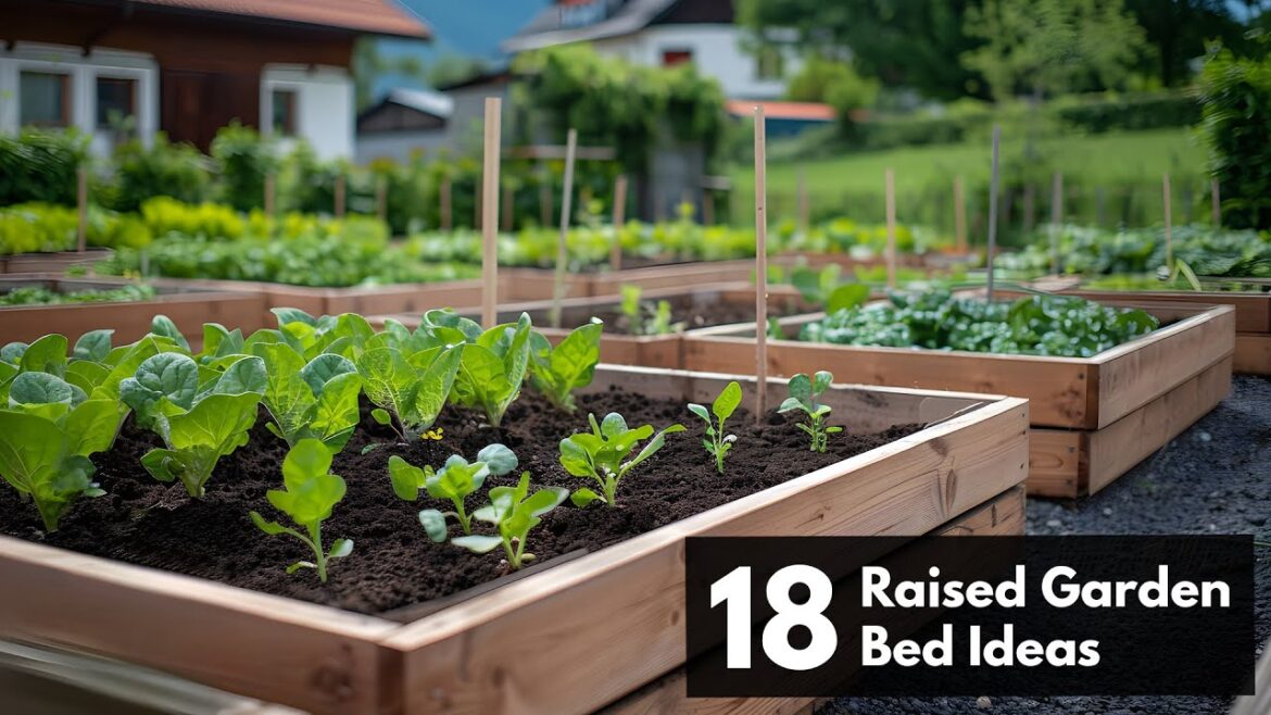 18 Raised Garden Bed Ideas for Your Backyard 18 Raised Garden Bed Ideas for Your Backyard