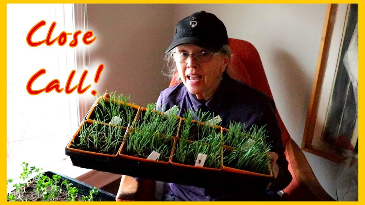 FIRE on my road! Too close for comfort!