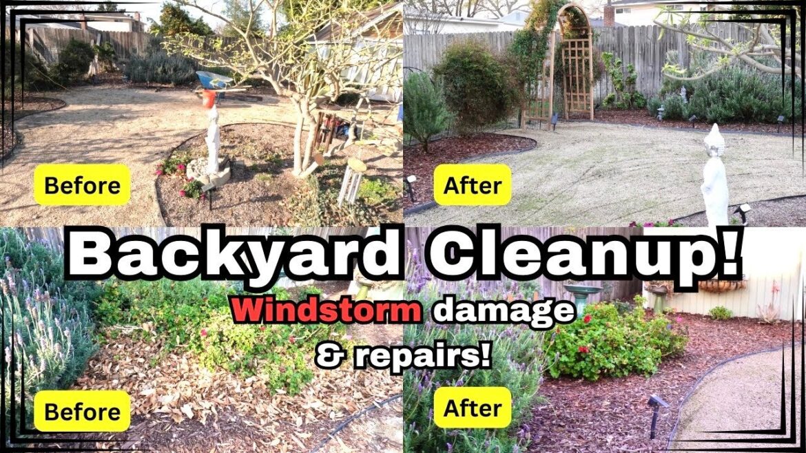 Rebuilding & Refreshing My Backyard After the Storm | Part 1 – 4K Rebuilding & Refreshing My Backyard After the Storm | Part 1 - 4K