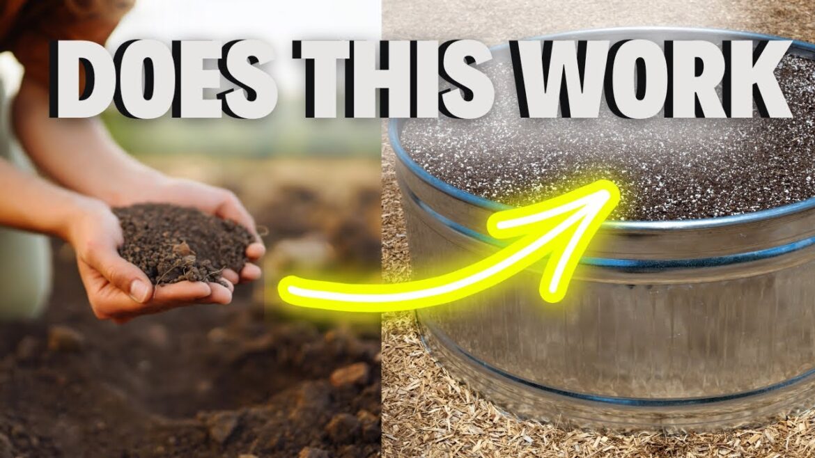 Can You Use Ground Soil in Your Container Garden? Can You Use Ground Soil in Your Container Garden?