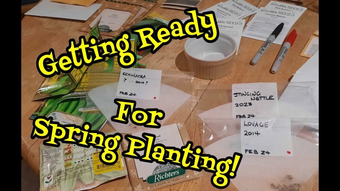 Test Your Old Seeds to Have Success in your Garden