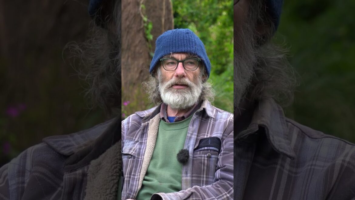 Best ground cover plant for spring!... #backyardgarden #gardening #gardenseries