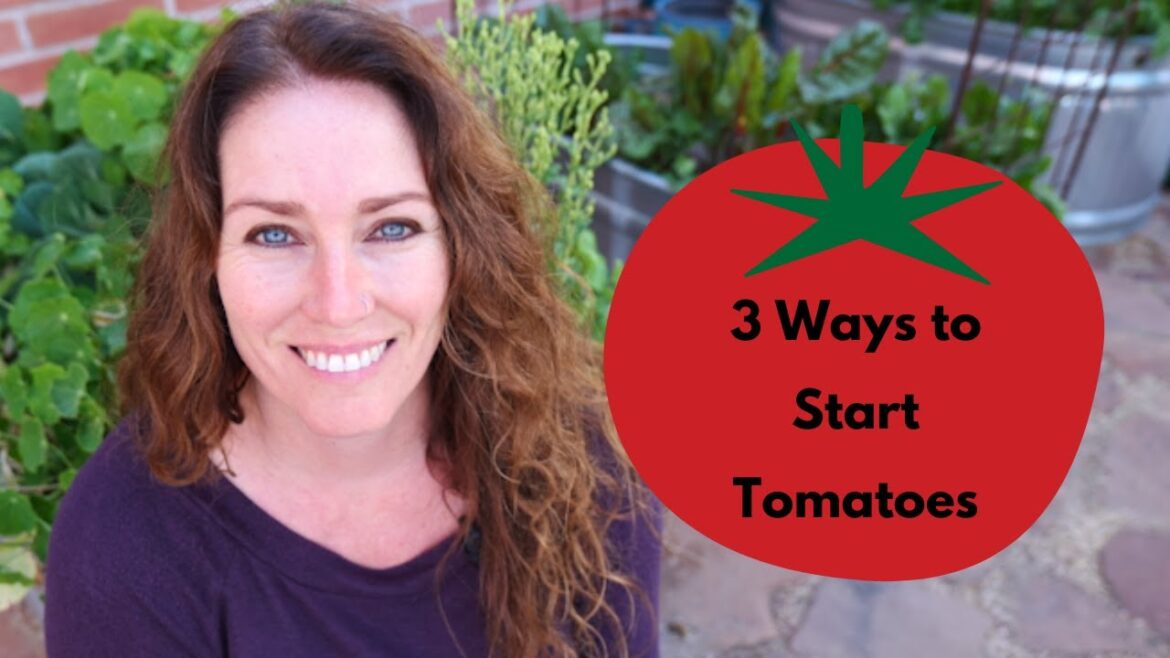 3 Ways to Start Perfect Tomatoes: A Complete Guide 3 Ways to Start Perfect Tomatoes: A Complete Guide