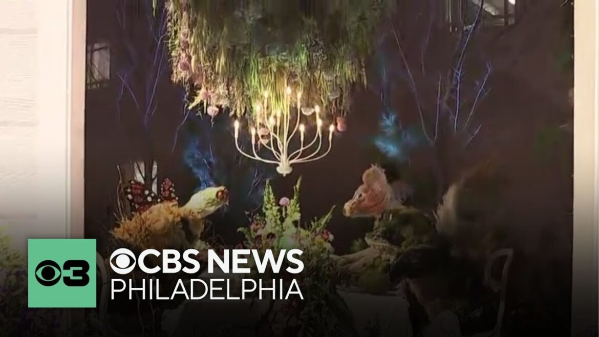 Spring is back in the air as Philadelphia Flower Show starts this weekend