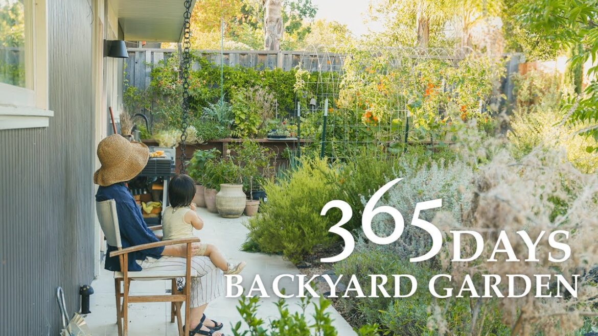 365 Days Backyard Garden Transformation & Vegetable Harvesting｜Slow Suburb Life