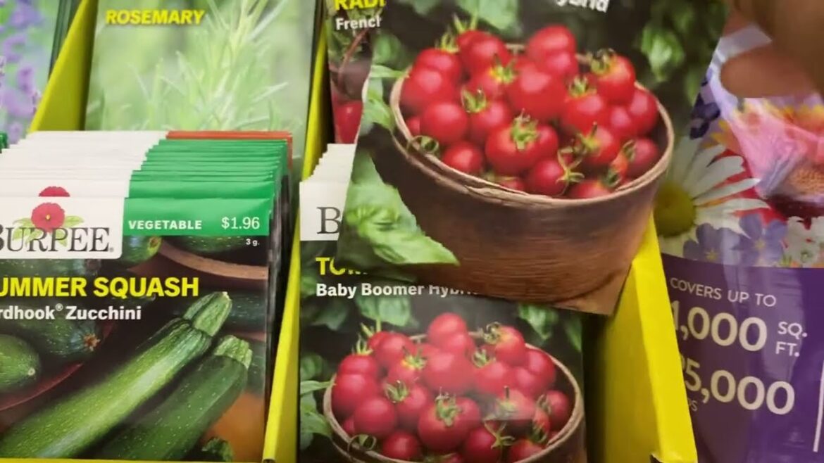 I Went to Walmart For Gardening Supplies! Best Deals & Must-Haves!