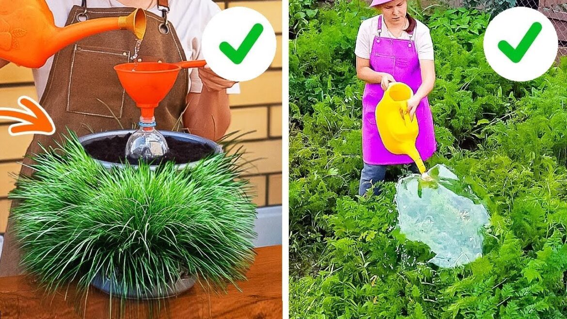 101 Gardening Hacks: Secrets to a Thriving Home Garden You Never Knew