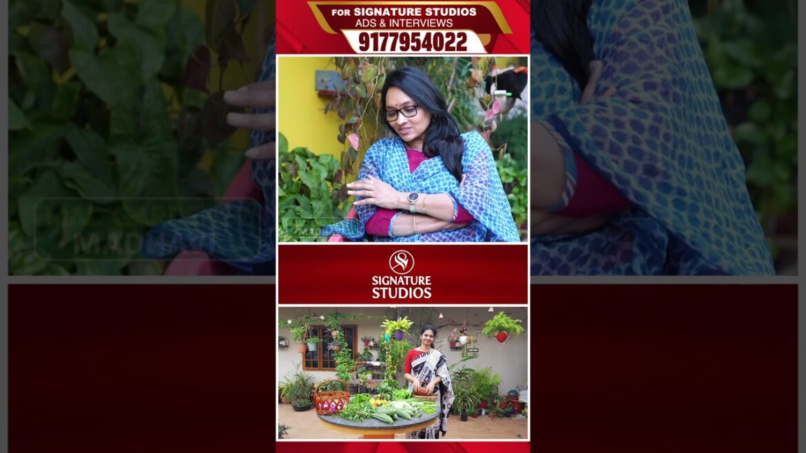 అలా కోసుకొని ఇలా వండుకోవడమే |@MADGARDENER Mad Gardener Madhavi Special Interview | Signature Studios