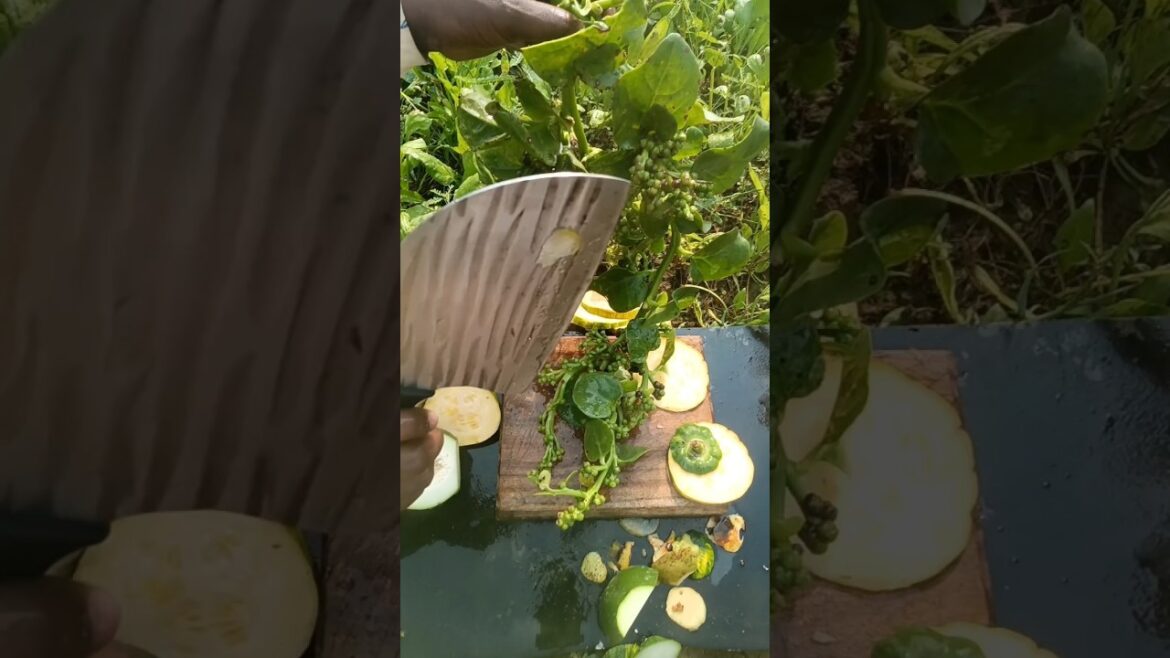 This is the best Techniques of Cutting Vegetable Farming😄 #shorts #satisfying #farming #agriculture