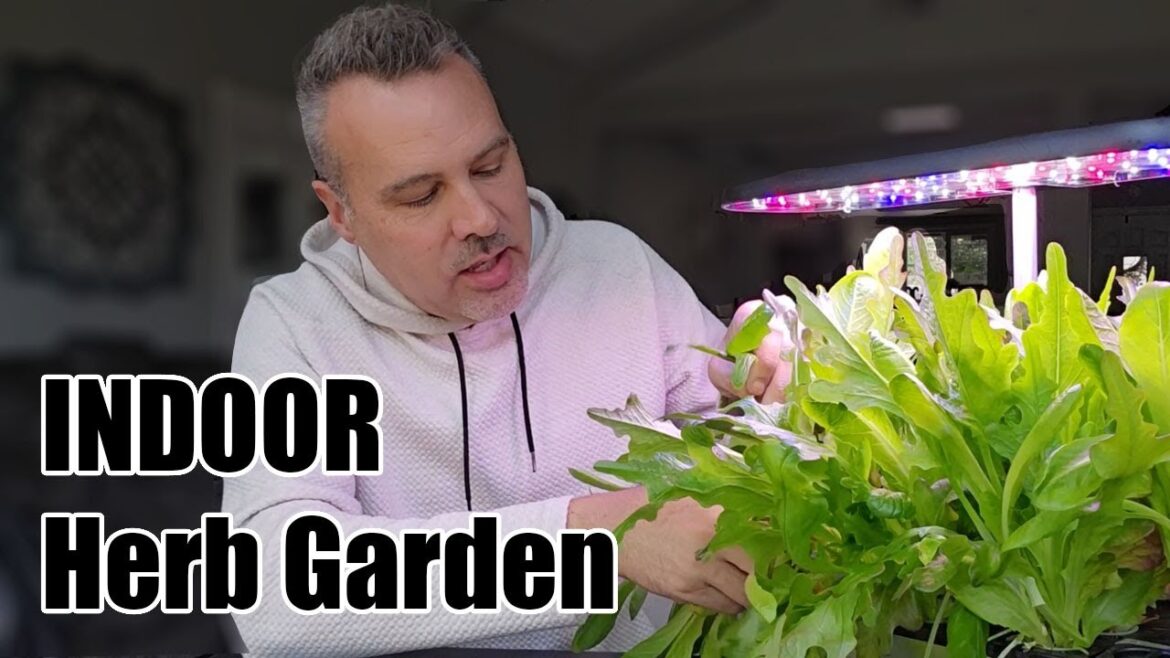 California Garden TV: Growing An INDOOR Herb Garden Growing An INDOOR Herb Garden