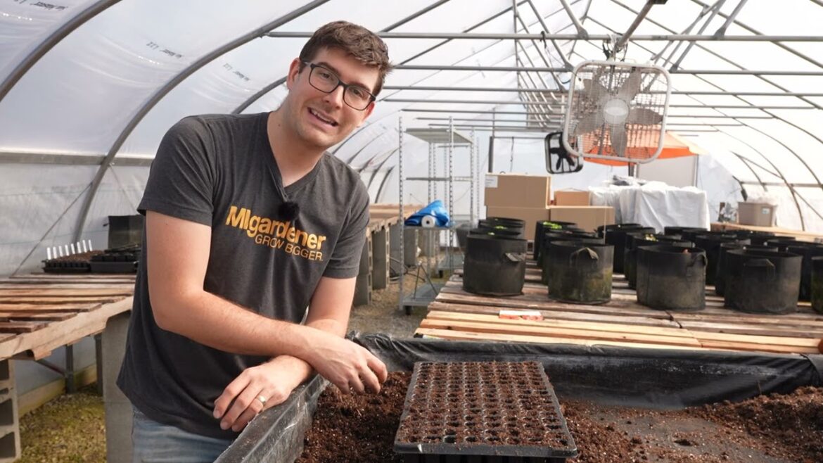 It's Time! Start Your Tomatoes NOW