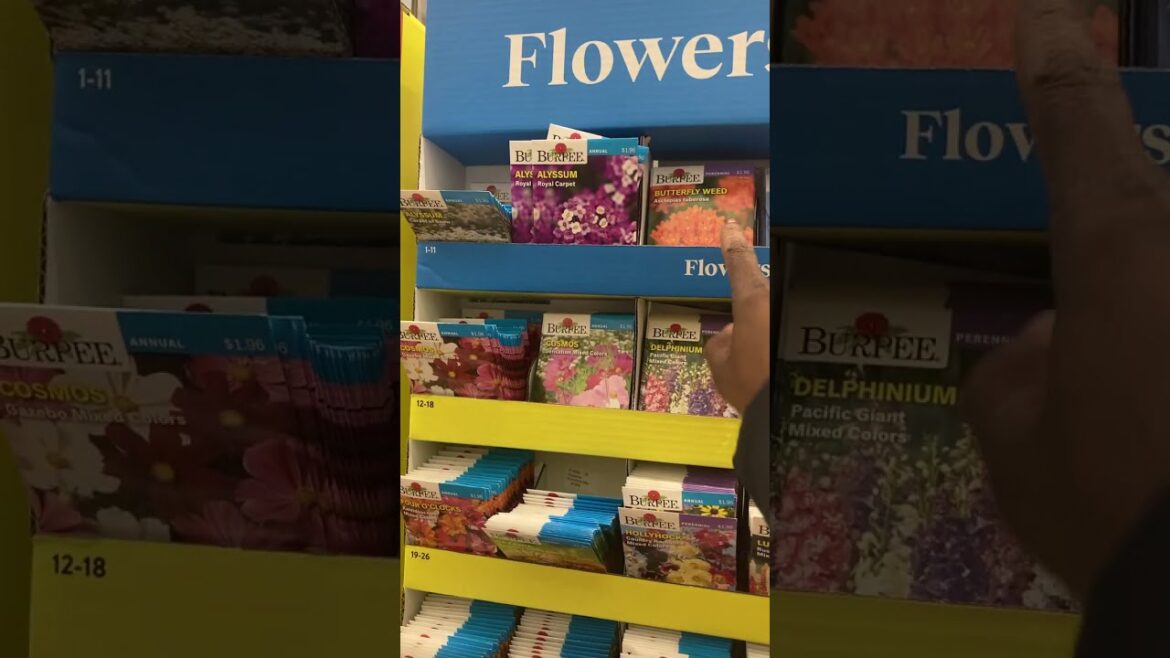 2025- Walmart Gardening Supplies Are in!!! Browse with me YouTube Family!! Seeds, garden tools, etc!