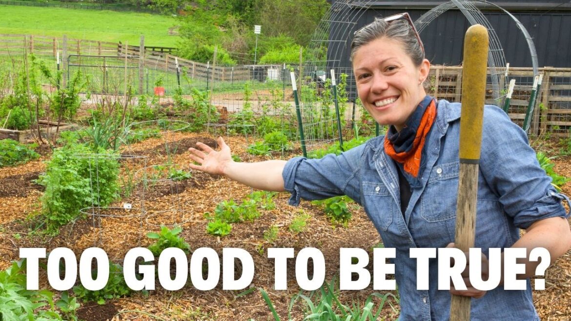 Is “Lazy Gardening” a LIE? Is a NO Weed/Water Garden Possible? Is "Lazy Gardening" a LIE? Is a NO Weed/Water Garden Possible?