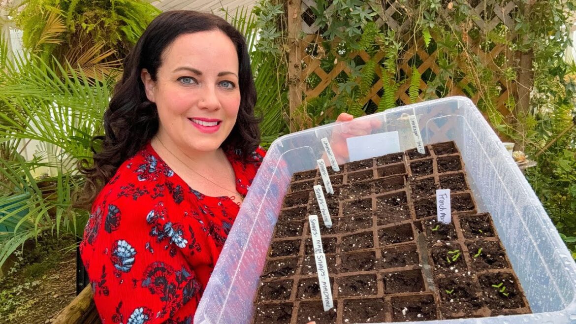 Starting My Entire Flower Garden From Seed!