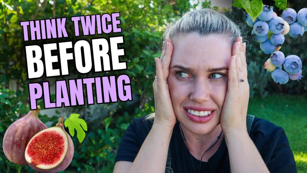 15 Fruit Trees & Edible Plants That Can Cause Problems in Your Garden! 🌳🚨