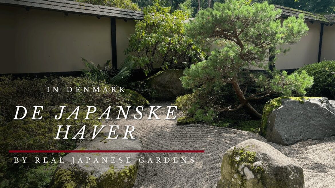 Japanese Garden in Denmark by Real Japanese Gardens 2024 4K HD
