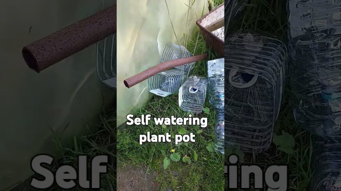 Self watering plant pot #gardening #compost #diy #sustainability #garden