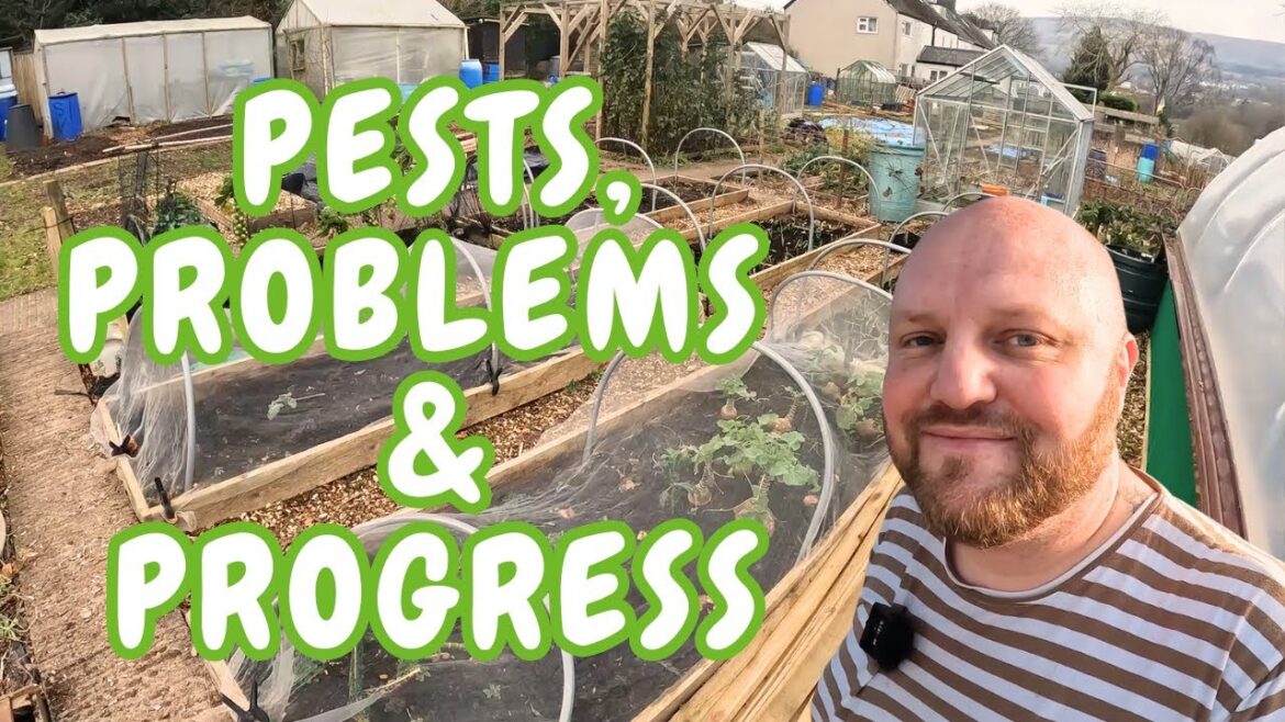 Spring Gardening Jobs | How to grow 42 crops in a square foot of space | Allotment Life Spring Gardening Jobs | How to grow 42 crops in a square foot of space | Allotment Life