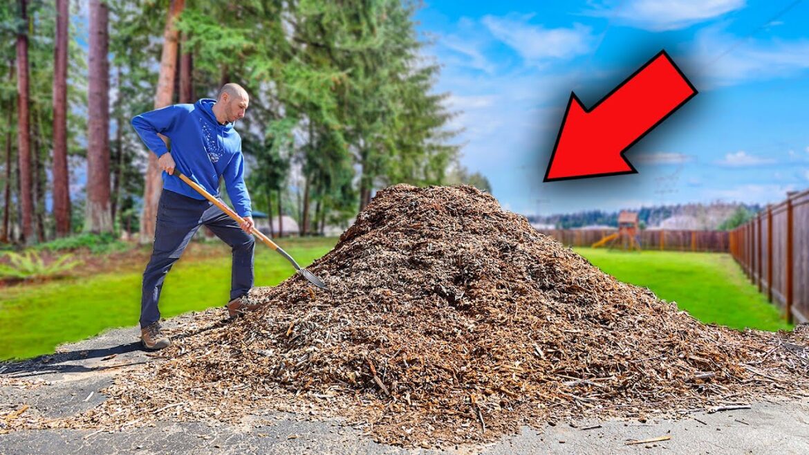 James Prigioni: Garden Soil Companies Hate Me For Showing You This! Garden Soil Companies Hate Me For Showing You This!