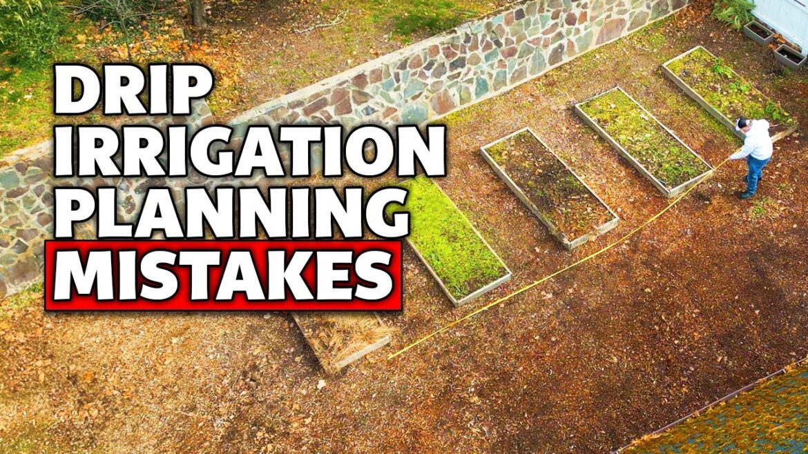 5 Mistakes to Avoid when Planning a Drip Irrigation System 5 Mistakes to Avoid when Planning a Drip Irrigation System