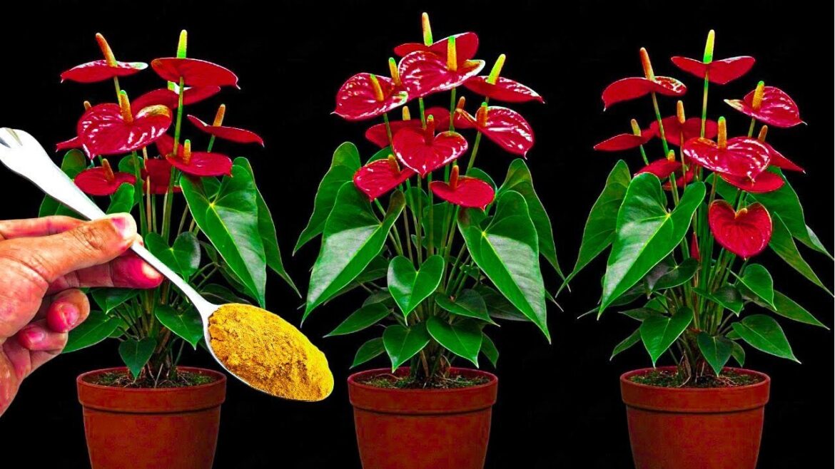 Diy Garden ideas #shorts