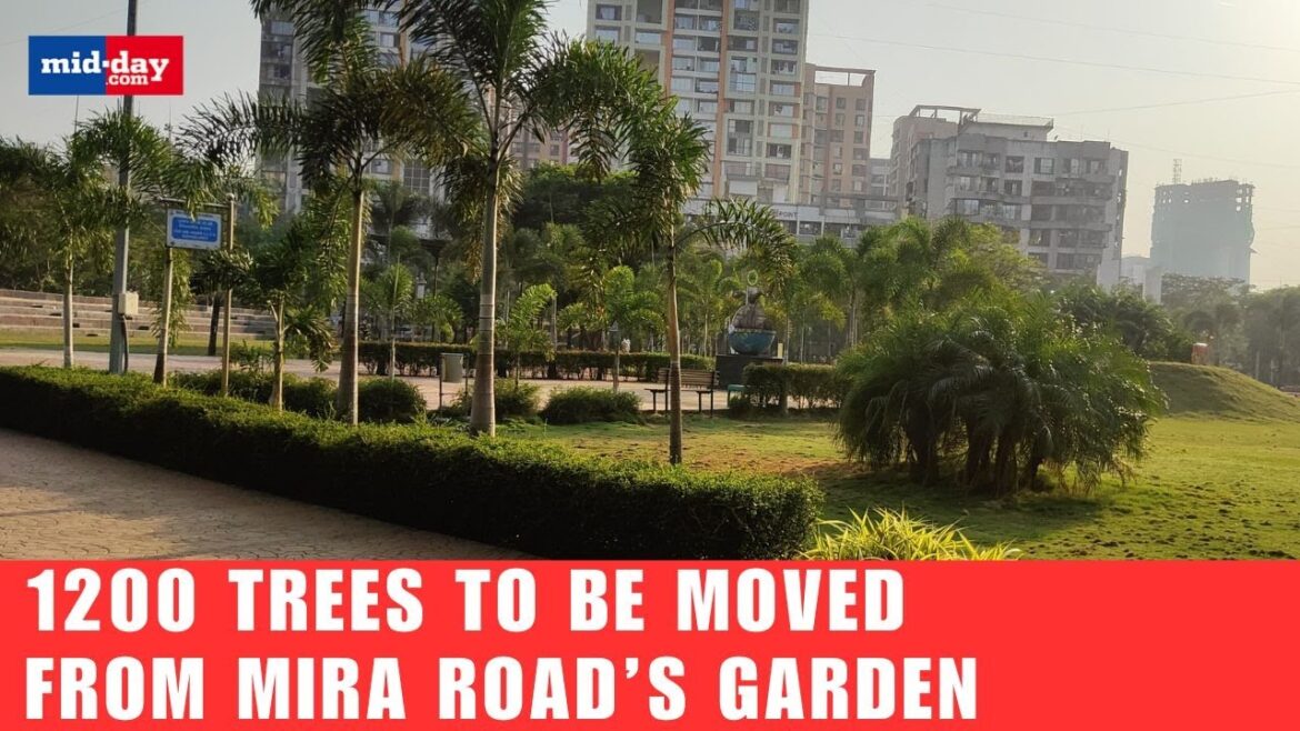 1200 Trees to Be Relocated in Mira Road! Residents Plan Protest Against MBMC! 1200 Trees to Be Relocated in Mira Road! Residents Plan Protest Against MBMC!