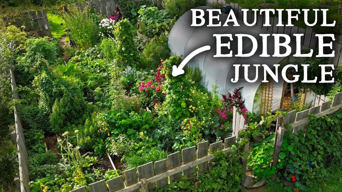 This Beautiful Small-Scale Kitchen Garden Mixes Edibles & Ornamentals