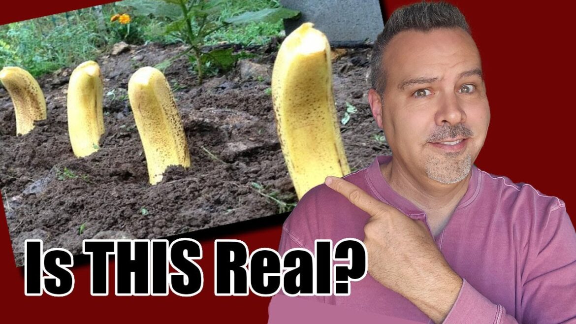 California Garden TV: 15 VIRAL Garden Hacks – Do They Actually Work?! 15 VIRAL Garden Hacks – Do They Actually Work?!