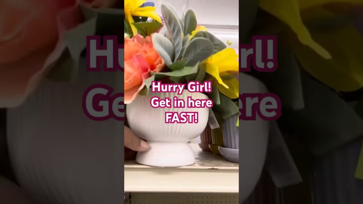 Family Dollar 2025 Gardening Supplies are here!#shopwithme #dollartree