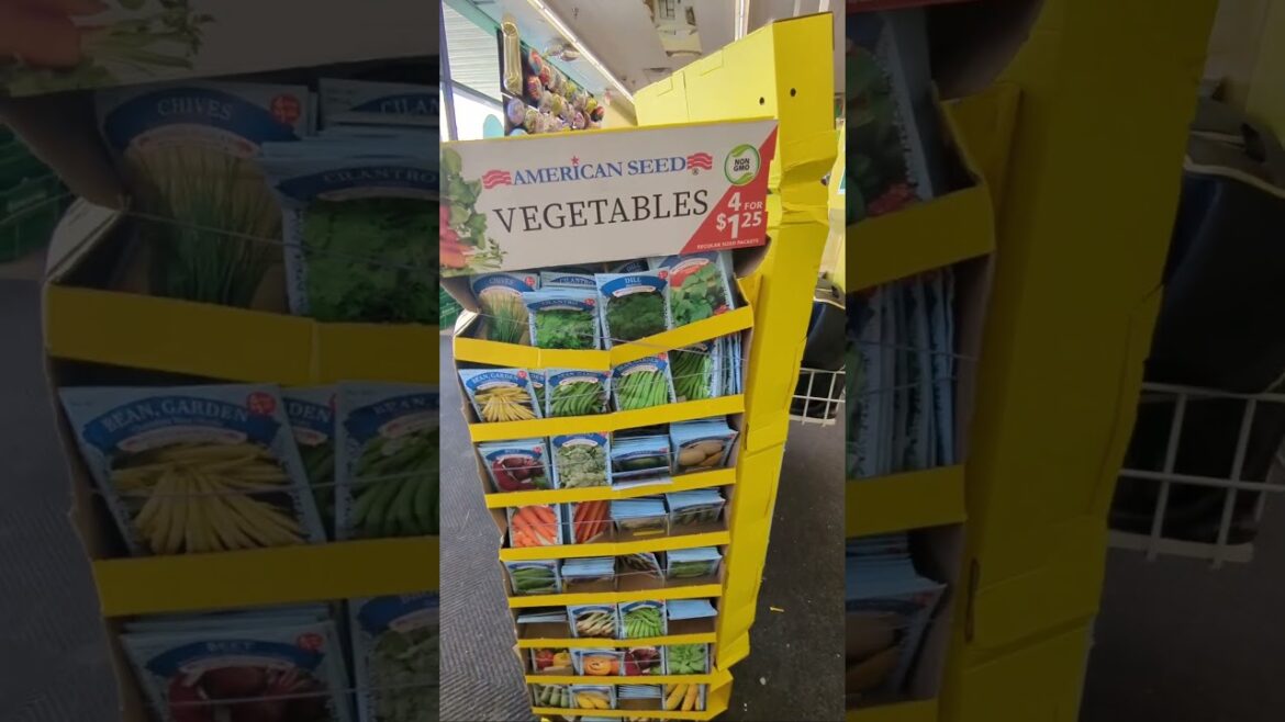 Dollar tree Garden supplies for beginners.