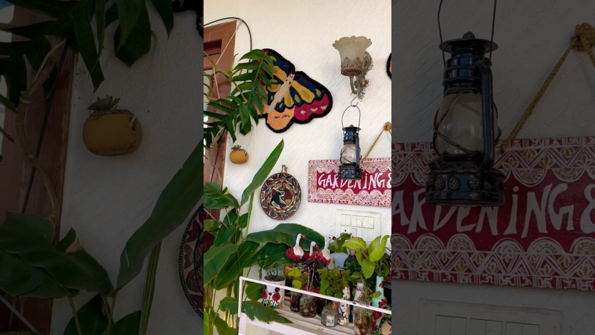 diy balcony decoration ideas #diy #garden #decoration #gardening #gardendesign #home #youtubeshorts