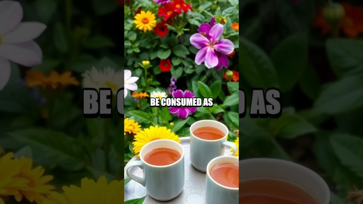 Herbs for Thyroid Health and Toxic Edible Plants